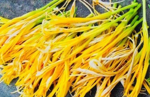 暖宫菜|宫寒的女性，易患妇科病！多吃“暖宫菜”，预防宫寒改善失眠！