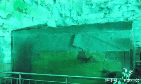 年代|80年代,考古队打开慈禧棺椁后,现场一专家悄悄说赶紧走!