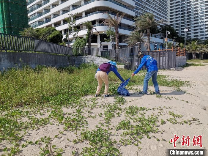 惠州市委宣传部|七旬夫妇热衷海洋环保志愿活动被誉为“专业看海蓝精灵”