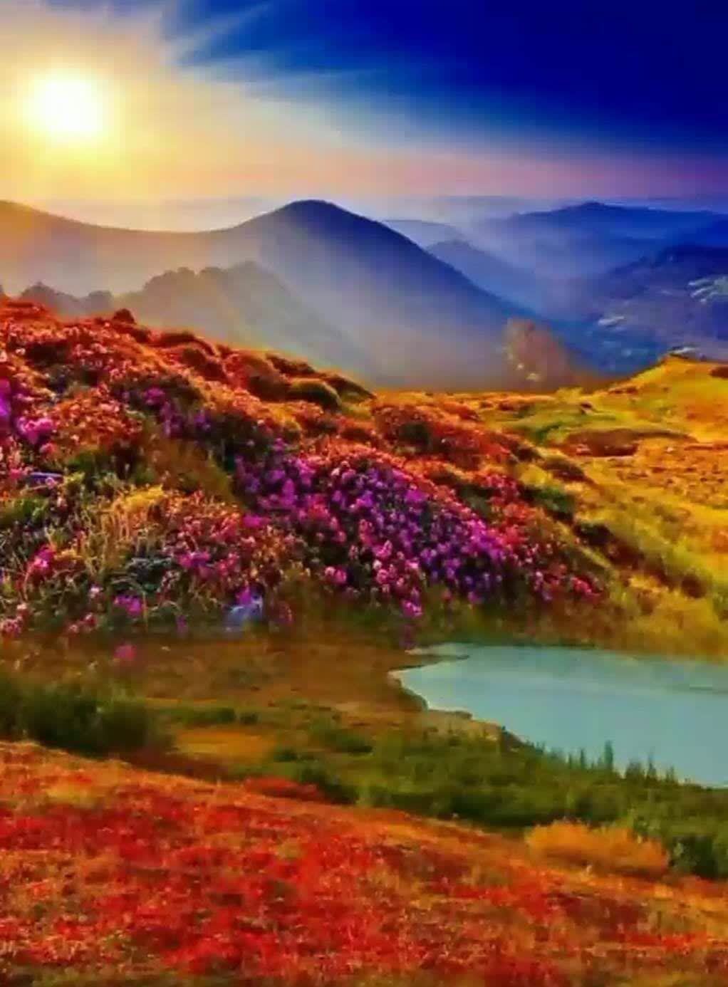 生命|宁和自律,清欢浅喜,生命真谛