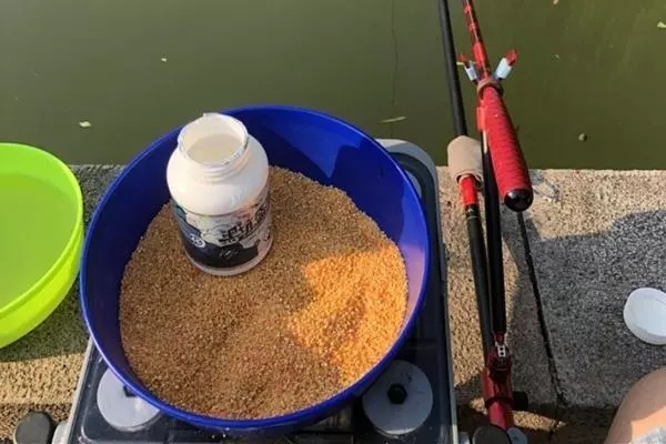 只能悄悄告诉你：酒米换个用法后，大鲫鱼一下钓一条，特别过瘾