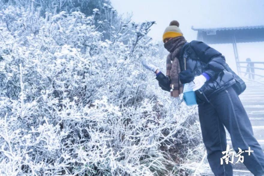 缓慢|广东下雪了？下周深圳缓慢升温+分散小雨