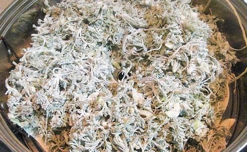 城里卖得比肉贵，人称“草中之王”，现在吃正当季，别错过
