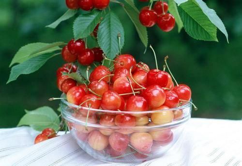 爸爸|怀孕后, 4种食物再贵, 准爸爸也要买给孕妈吃, 对胎宝宝有好处