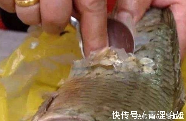 还在用菜刀刮鱼鳞?教你3个去除鱼鳞片小妙招,无需菜刀还不伤手