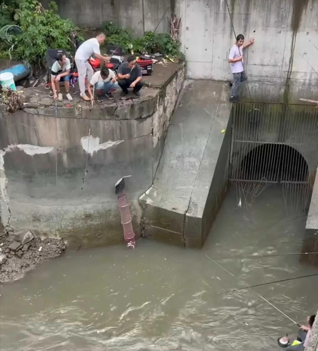 上海与众不同的“黑坑”,钓鱼不要交费,每天都有成百上千人聚集