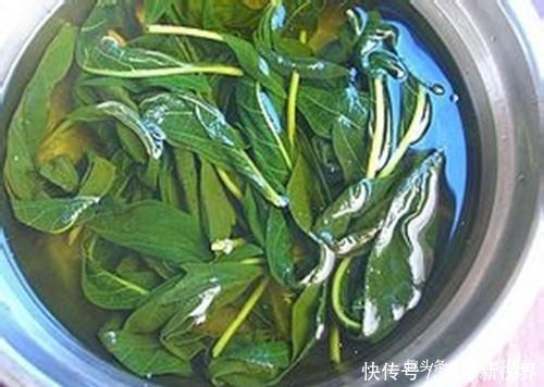 宝贝|有种菜,很多人就只吃种子,其实菜叶才是真宝贝,20一斤供不应求