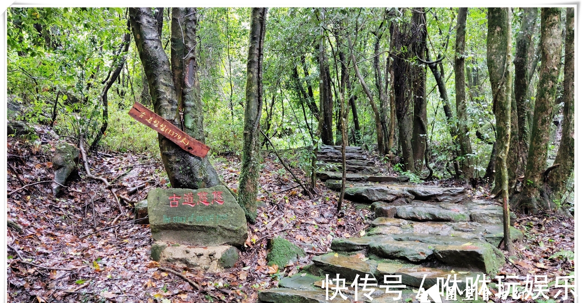 原始森林|自驾云南新平哀牢山，在雨中走茶马古道、体会马帮伙计的辛酸苦辣