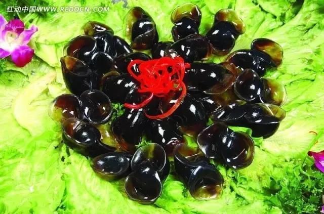 海鲜|渔民整理的海鲜大全,以后再也不怕不认识海鲜了