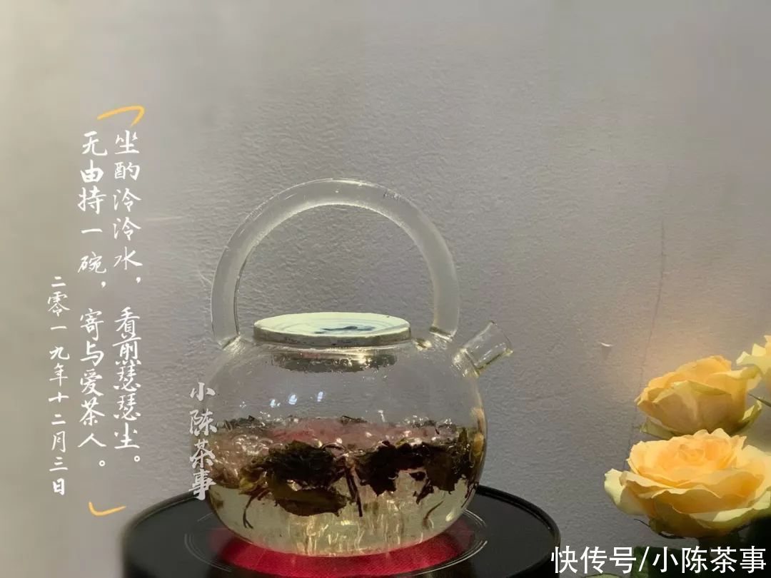 铁观音|煮茶、盲目追“老白茶”、紫砂壶冲泡，说说白茶新手的入门三板斧