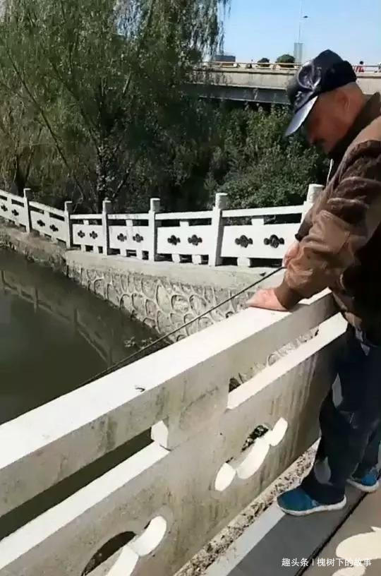 古城护城河潜伏一二十年,长成几十斤鱼王,被小伙射中捞起