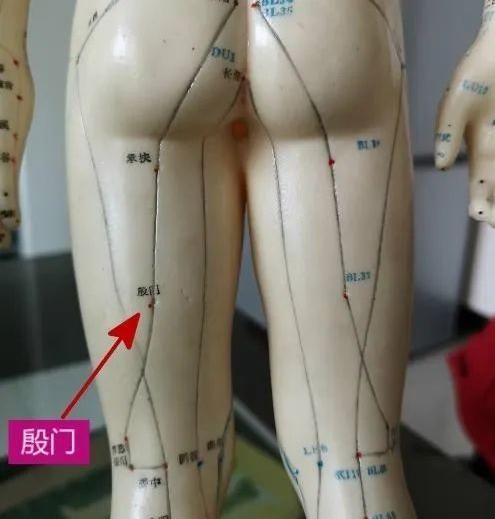 灵丹妙药|一个神奇的穴位,堪称止疼灵丹妙药!上可治到腰,下可治到脚!