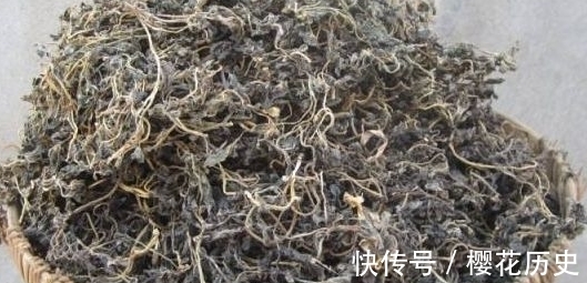 农民朋友|农村常见一种野菜,农民常晒干吃别有风味,还能入药抑菌消炎
