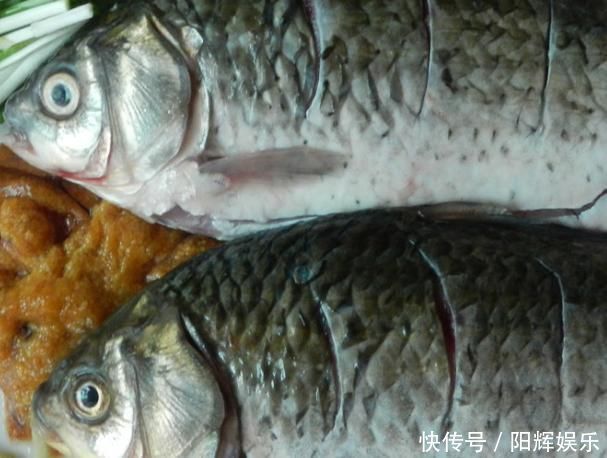 出血性疾病|经常吃鱼好处多多,可惜这4种人不能随便吃鱼!你是其中之一吗?