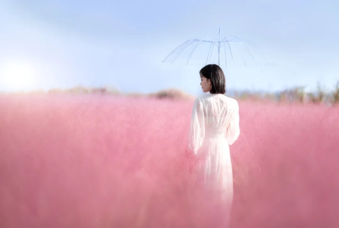 幸福#莫言《晚熟的人》最精辟的5句话,真正的人间清醒