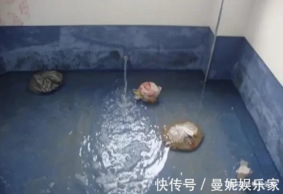 水电|装修时当“甩手掌柜”可不行,这5处细节,再忙也要去把关验收