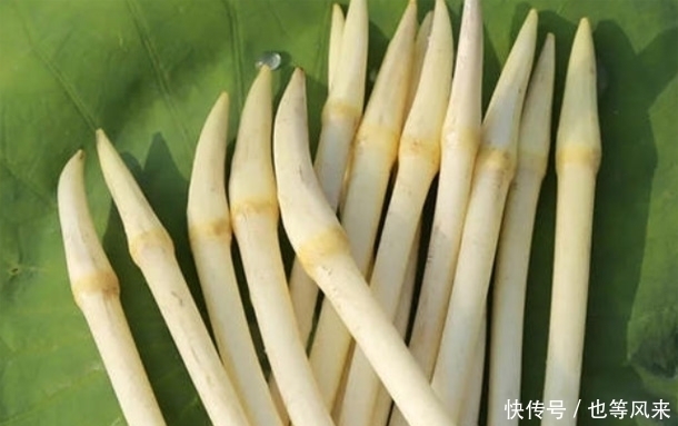 早衰|女性50岁之后,多吃3种滋养食物,排毒美白,安神护眼,预防早衰