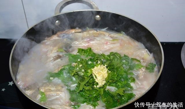 被人“误解”最深的鱼,浑身是宝,比草鱼营养,6元1斤却没人吃!