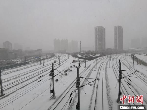 气象部门|哈尔滨中小学幼儿园因雪停课 官方回应为何通知“迟到”