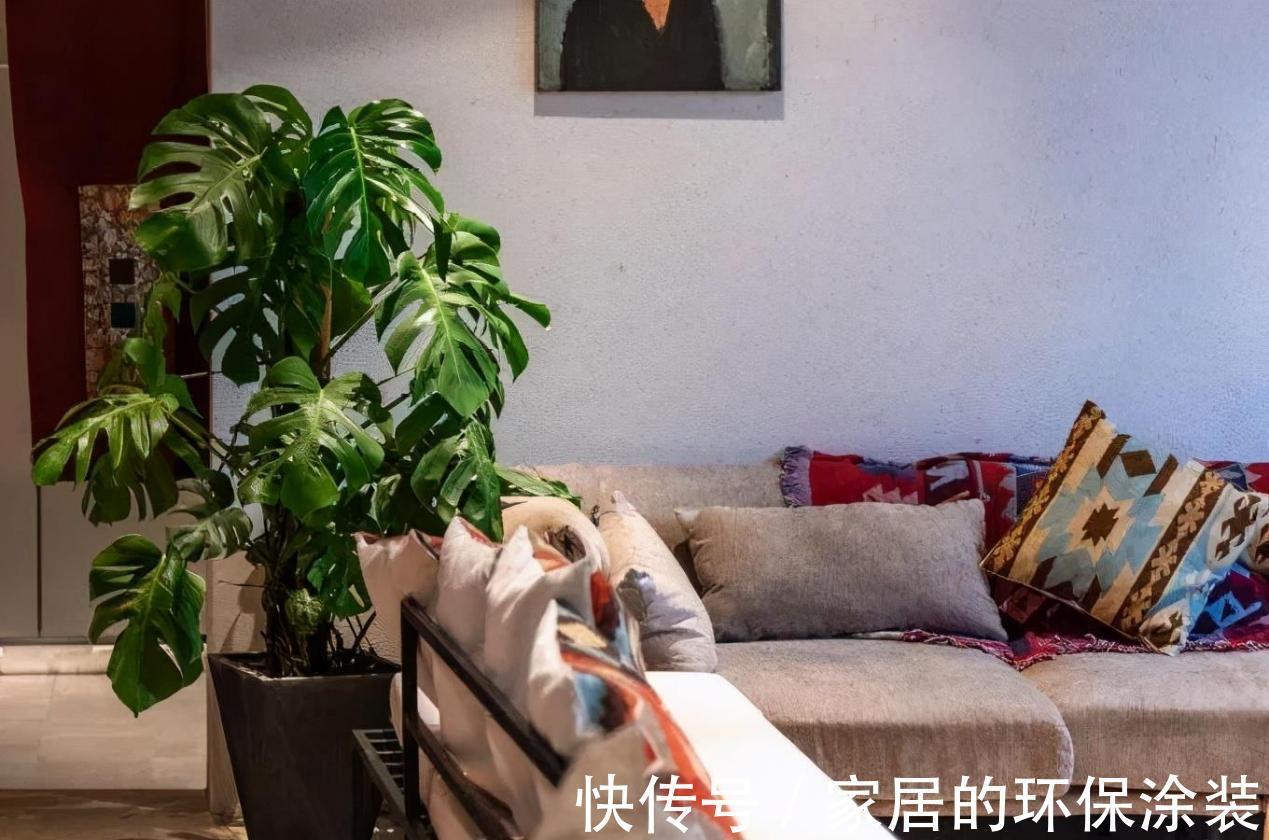 不起眼的紫药水，原来掌握住用法，养花有这么多好处