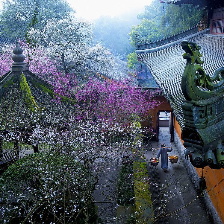 寺院|天台山国清寺恢复开放! 这里低调地美了1400多年, 佛到骨子里!