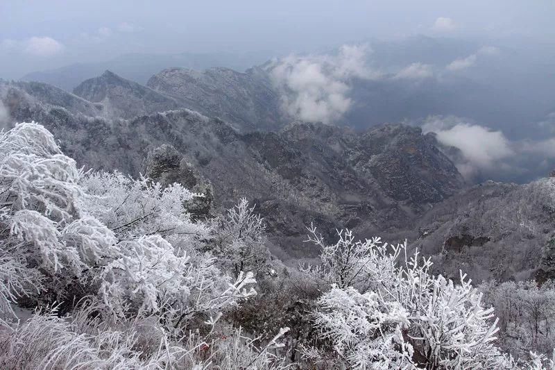 风雪|风雪武当山,仙境藏玄机!大雪封山时,道人、隐士都在干什么!