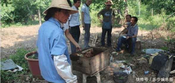 无人问津|农村山里采摘的这美味无人问津，城里人上百元一斤却被抢着买！