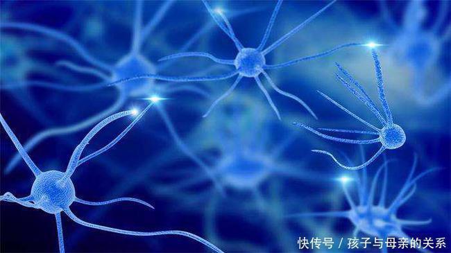 健康|老年痴呆症测试不要靠别人,看看你需要几秒钟找到