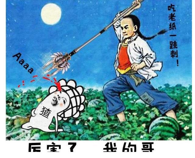 霍尊|无知，可别找借口了！张哲瀚你这个“瀚”奸翻车了