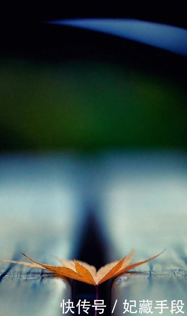 好女人!一生不可不读的25句经典语录,句句直指人心,让人赞不绝口