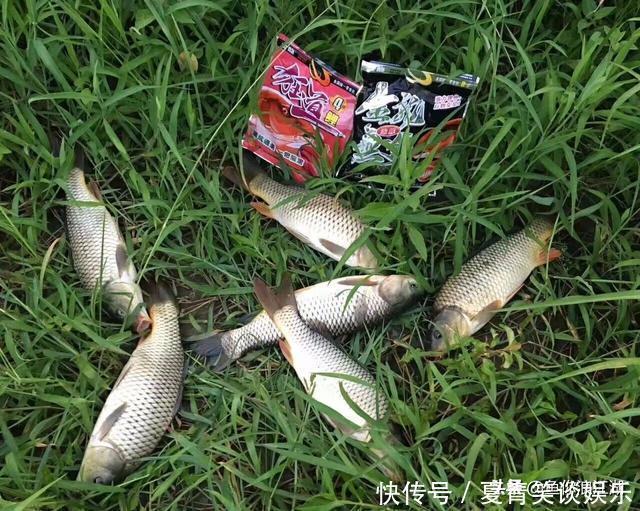 图片来源网络|如果你钓鱼是为了修身养性,建议你换一种运动,钓鱼真的不合适