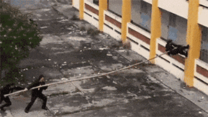 |搞笑GIF动画:小哥哥一连串的动作太帅了!女朋友也太淡定了