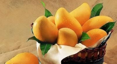 食物|芒果虽好,但食了芒果后,别碰此种食物,要忌口,快告诉家人