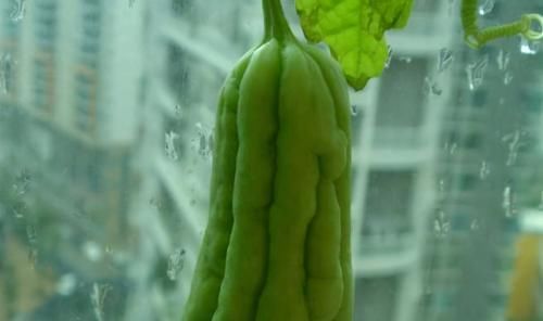 女性爱美，推荐吃3种食物，排出毒素，保养肌肤，滋养女性子宫