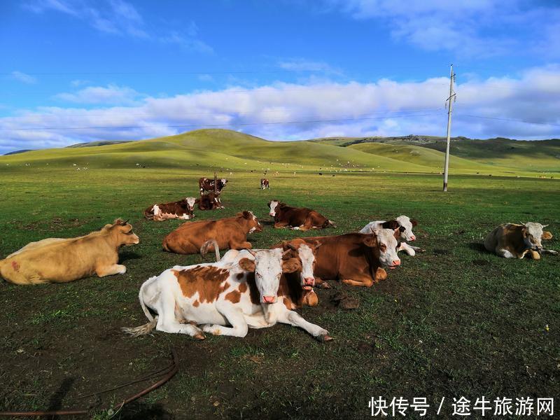 美丽的锡林郭勒大草原，最纯正的蒙元文化，最原始的游牧牧场