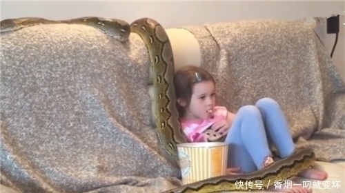 悲剧|6岁女孩养两条蟒蛇当宠物,每日同吃同睡,不久之后悲剧了