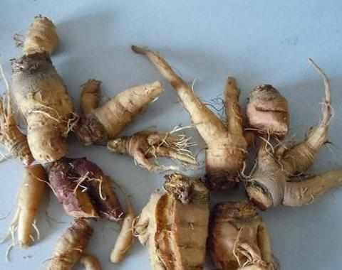 解毒王|肝毒的克星找到了，天然肝脏“解毒王”，每天一点，肝病不来找