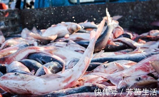 海鲜|5种食物可能携带甲醛，希望你趁早端下饭桌，很多人经常吃