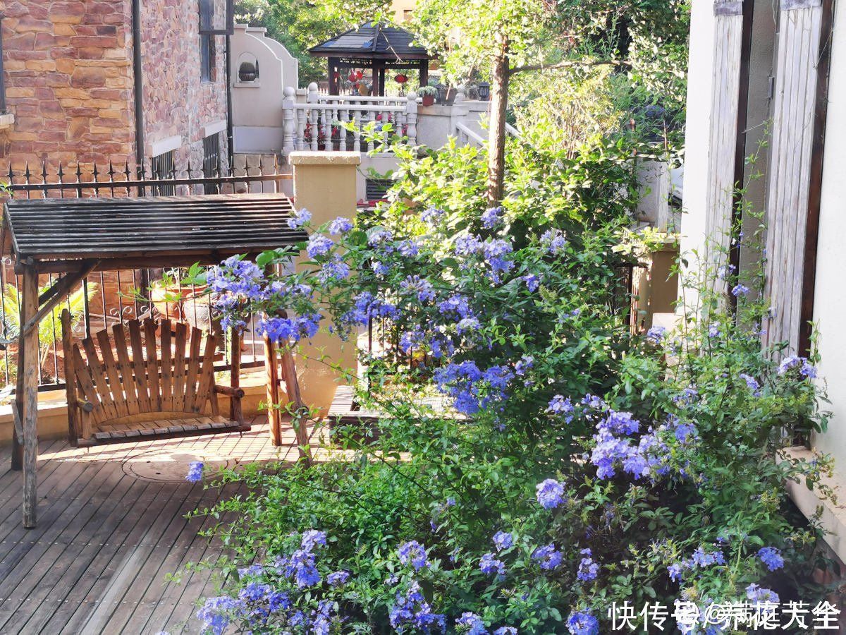 农村人的院子超上档次，种花不在多，关键是选好品种