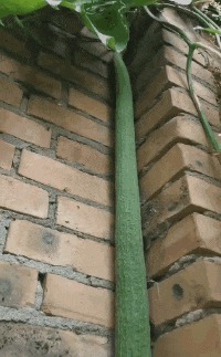 |搞笑GIF:火车站见到的情形,看到这一幕我又相信爱情了