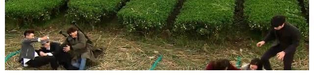 评分9.2的韩综,又名两个女侦探和无用的男人们,网友:笑不活了