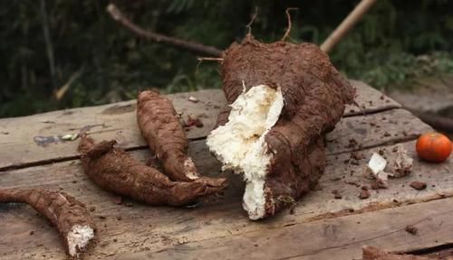 乳腺|女人乳腺有增生,别怕,多吃这几种食物,能帮你消除增生肿块