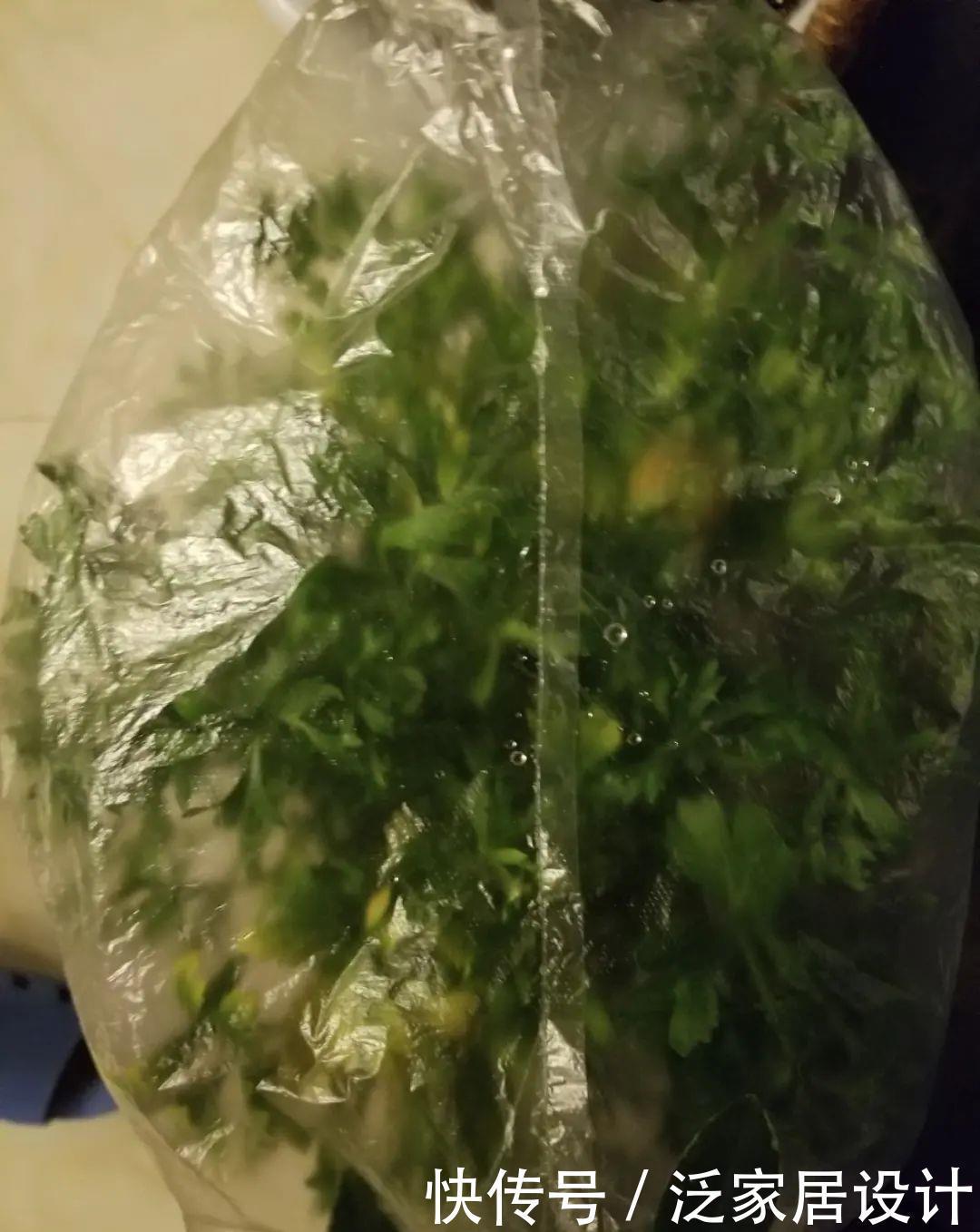 养花技巧:冬天最娇气的9种花,不要随便买,养不活浪费钱