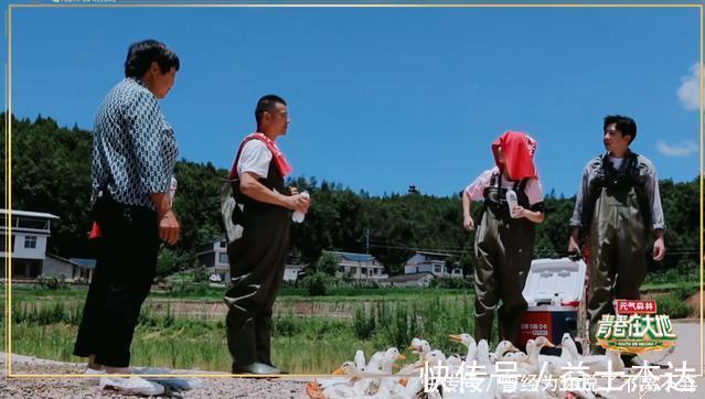 许亚军|被这档良心国产综艺惊艳到了韩雪坐轮椅,俞灏明独自痛哭