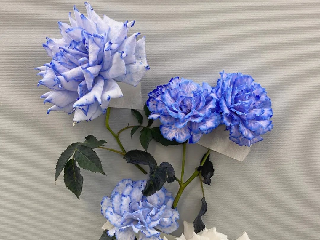 留得心中花香在,人生四时皆风景|诗词 | 终南别业