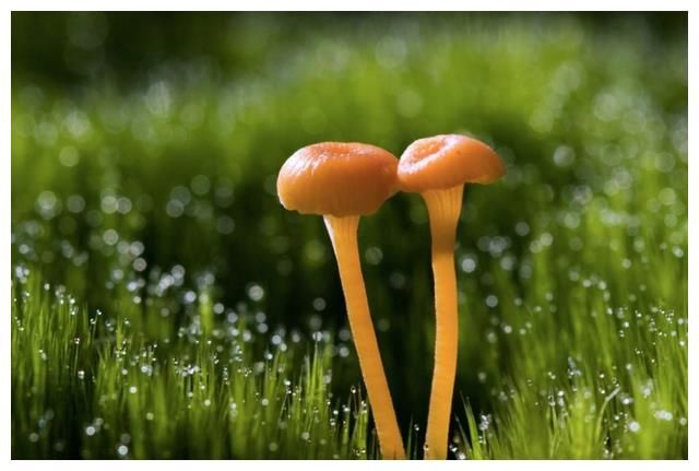 气场|心理学：这4个好习惯坚持住了，你的气场会越来越强大