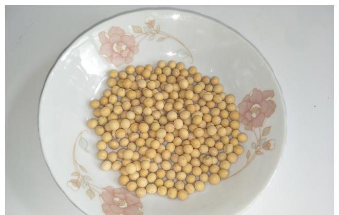 黄豆|破壁机食谱,用红薯做豆浆,香甜好喝,营养美味,家人喜欢