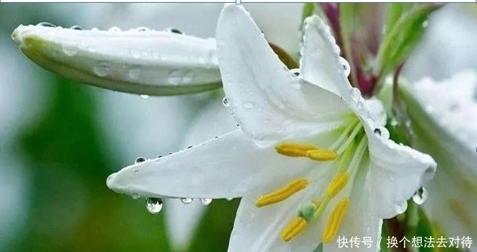 3月5日是谁的生日 3月5日是谁的生日