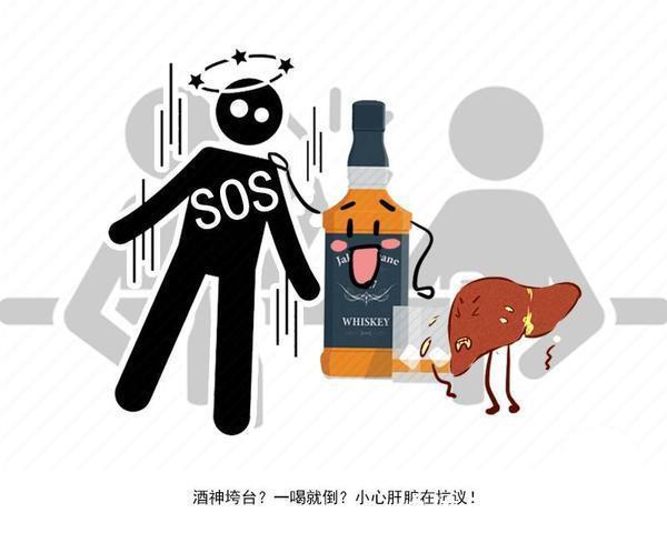 喝酒|肝不好,喝酒知?喝酒时出现这3种迹象,暗示肝脏可能正逐渐硬化