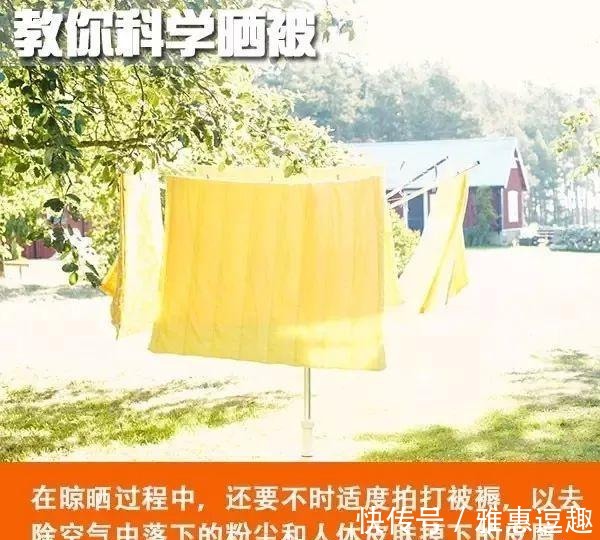 被褥|女子睫毛里长了100多只虫子! 有这个习惯的要当心了